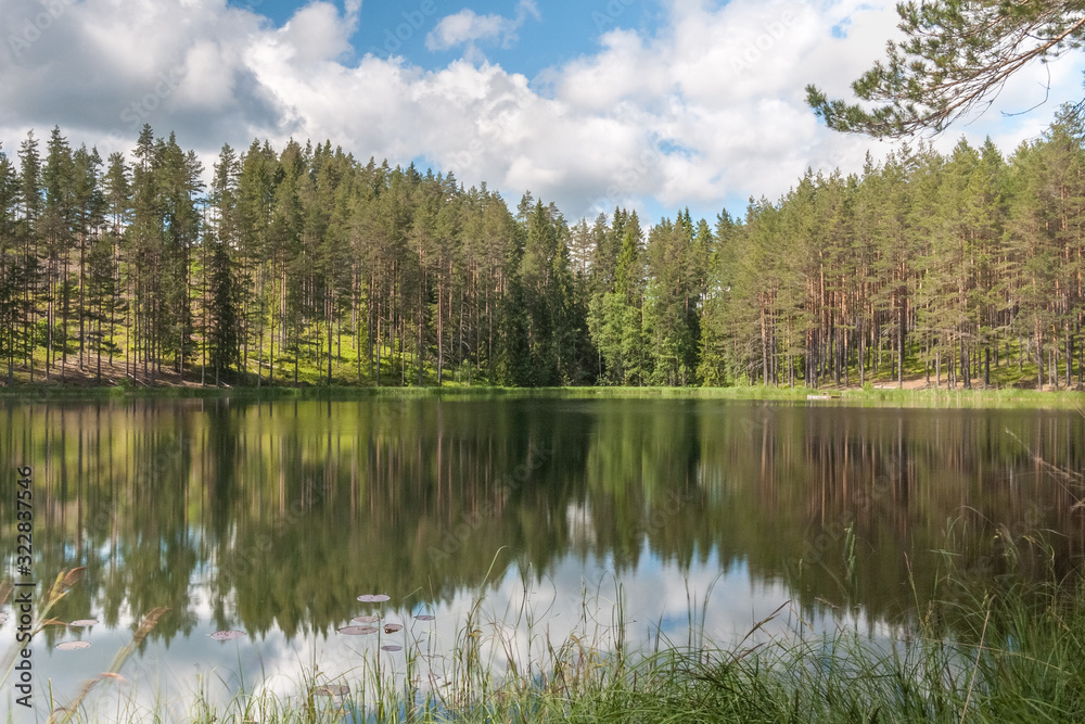 sky and tree reflection in secluded area by the lake. Calm waters and cloudy sky. Sweden. selective focus. long exposure sky and tree reflection in secluded area by the lake. Calm waters and cloudy sky. Sweden. selective focus. long exposure