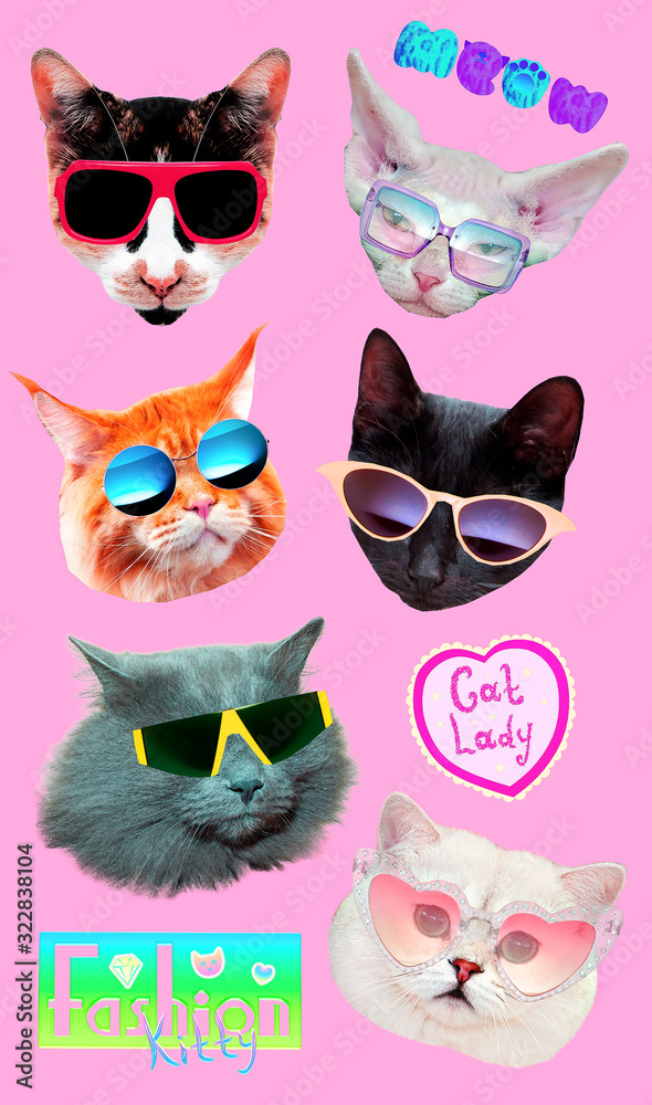 Contemporary art collage kit.  Cats in stylish sunglasses