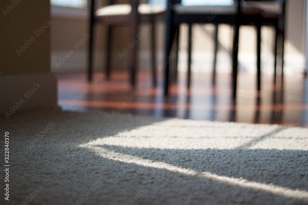 custom made wallpaper toronto digitalView of the hardwood floor from the carpeted living room