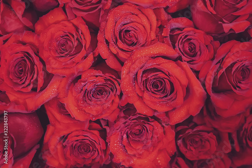 Background of red roses for Valentine s day 