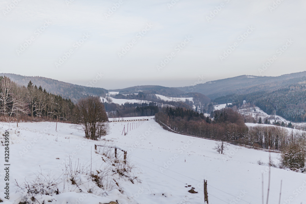 view of the forest and mountains covered with snow in winter view of the forest and mountains covered with snow in winter