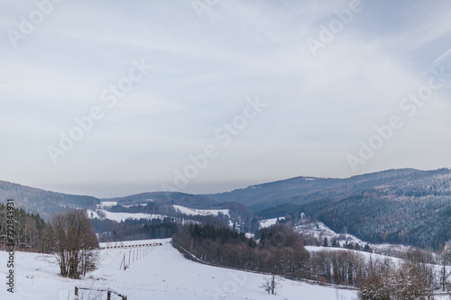 view of the forest and mountains covered with snow in winter