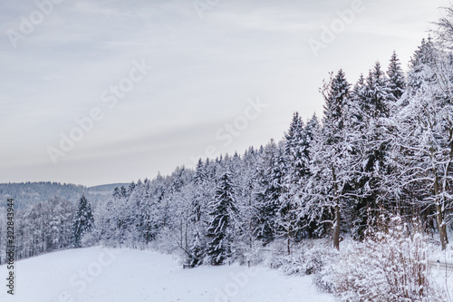view of the forest and mountains covered with snow in winter