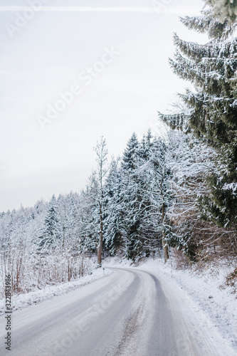 snow-covered street and a view of the forest