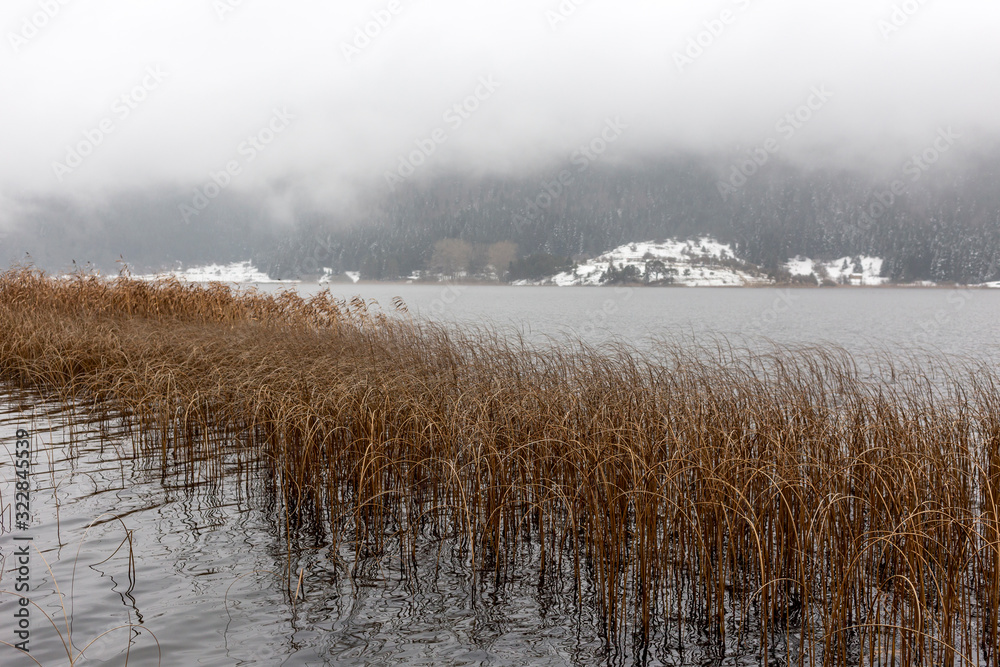 Lake, mountain and clouds. Foggy lake. Lake view at sunrise. Abant lake, Bolu Lake, mountain and clouds. Foggy lake. Lake view at sunrise. Abant lake, Bolu