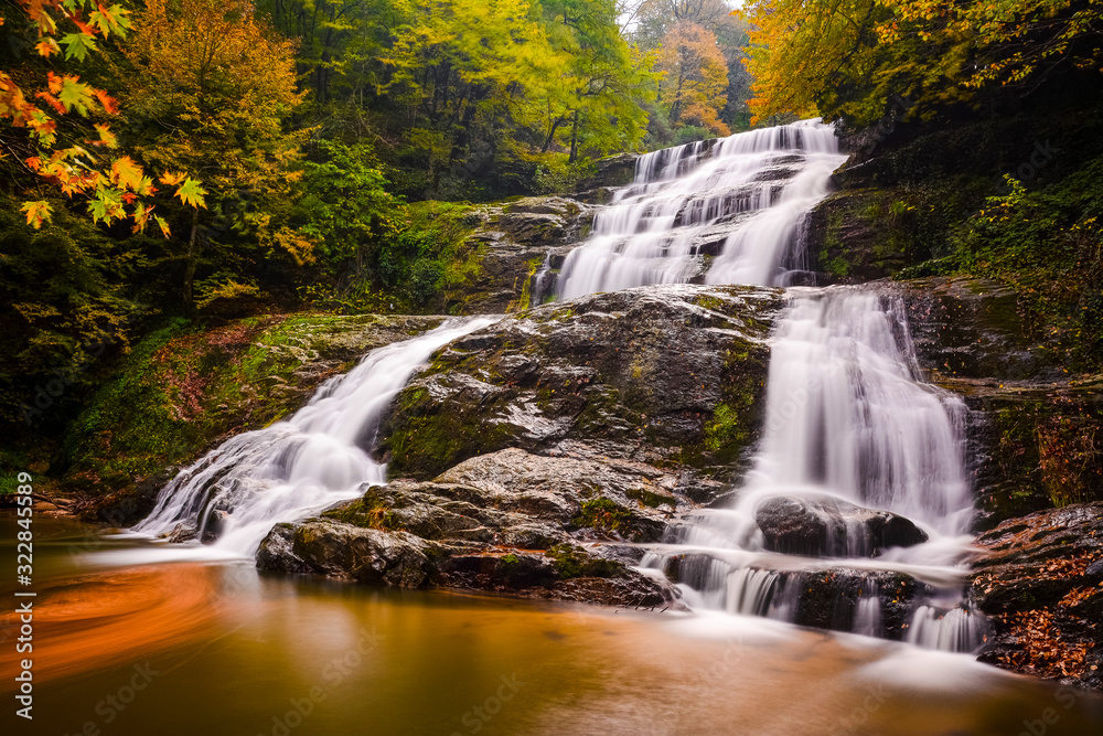Fototapeta premium Forest in Bursa suuctu waterfalls Turkey