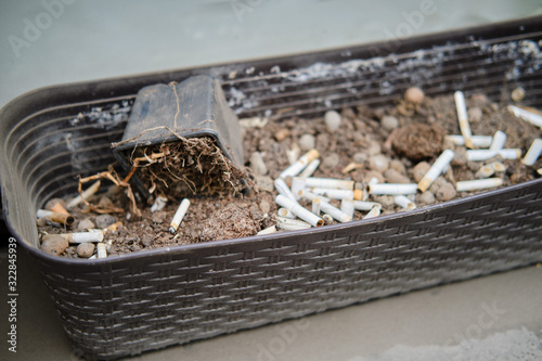 The cigarette butts in flowerpots for flowers