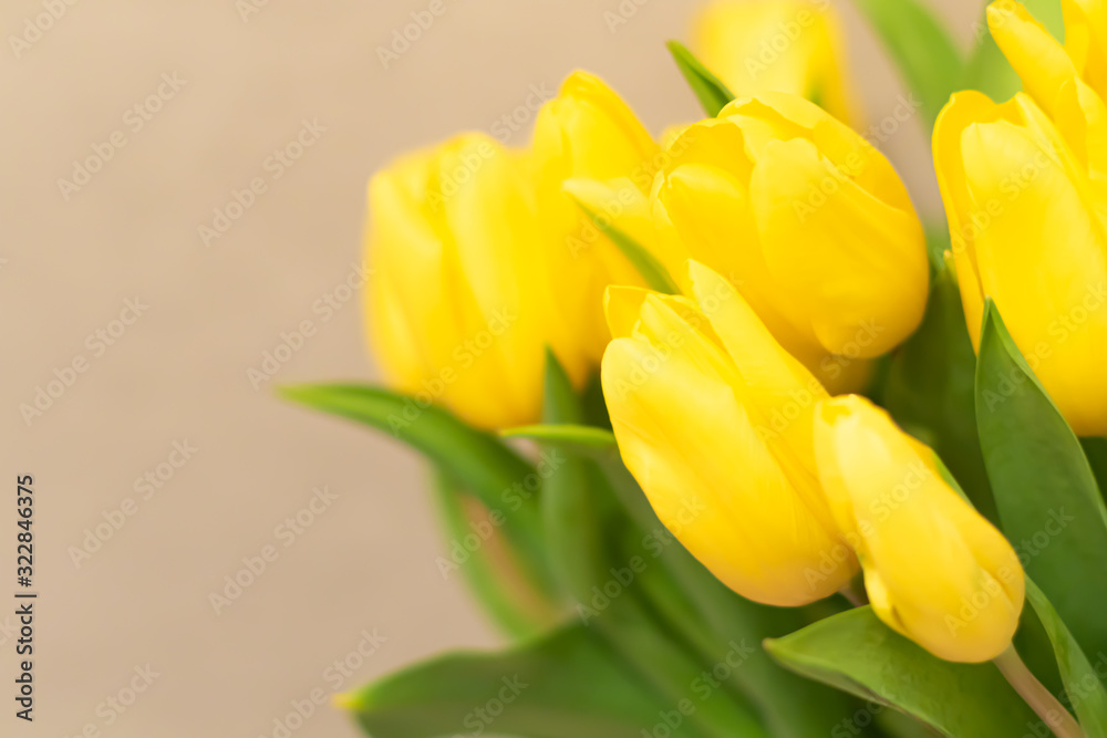 Floral blurred background. Spring yellow tulips. Space for text. Floral blurred background. Spring yellow tulips. Space for text.
