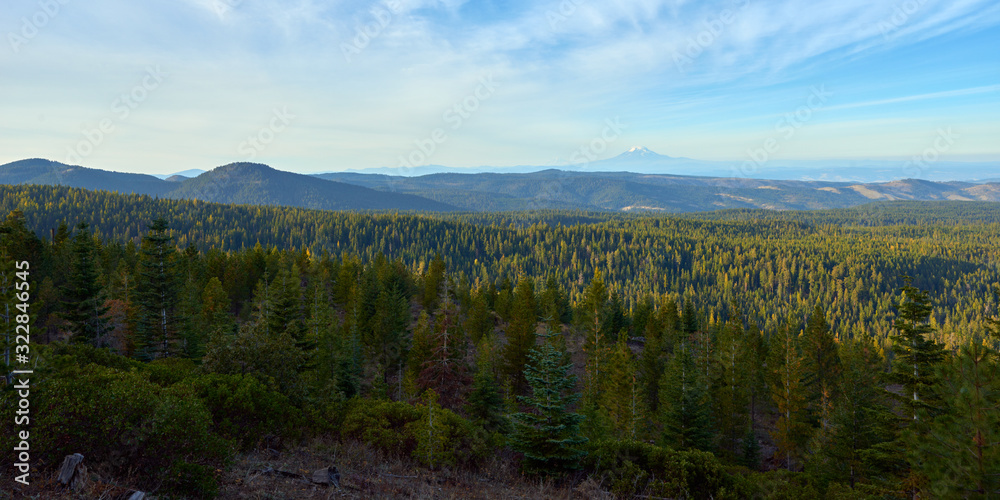 Evening panoramic view over the wooded mountains in Oregon. Mountains Adams and Rainier in the background.