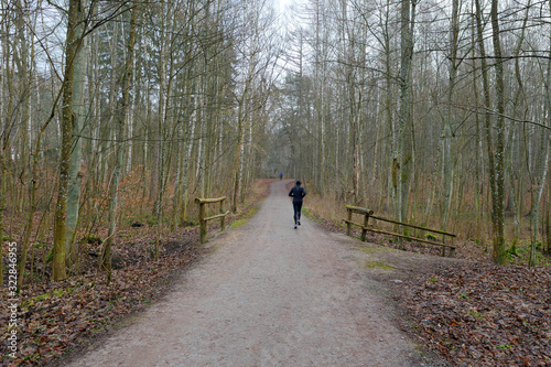 Man is jogging at the forest path