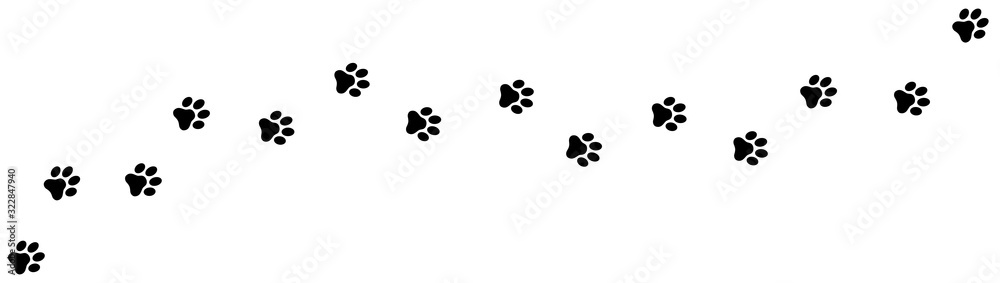 Fototapeta Paw print foot trail. Dog, cat paw print. Vector