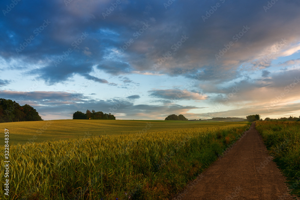 Obraz premium rain clouds over wheat field