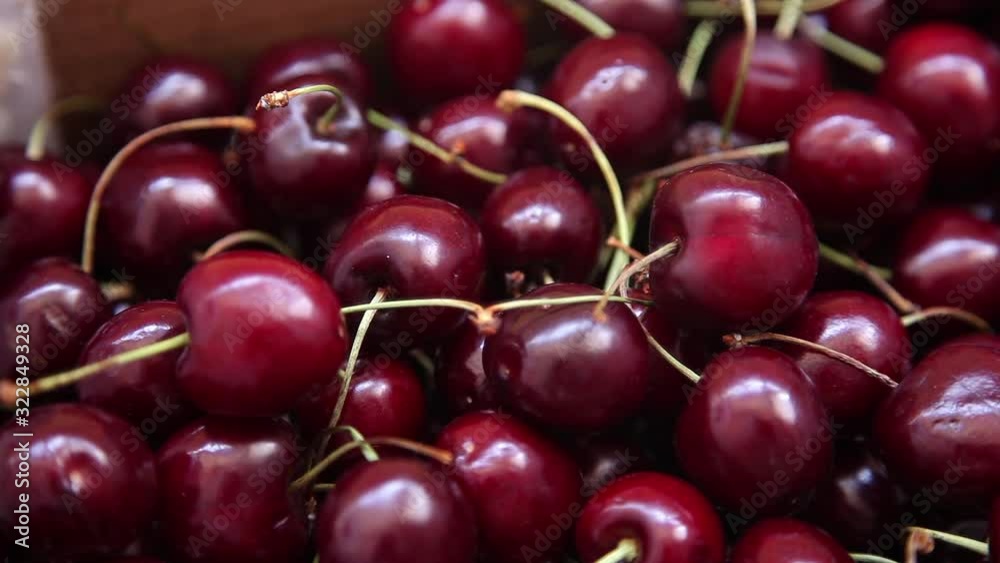 worker putting cherries in box worker putting cherries in box