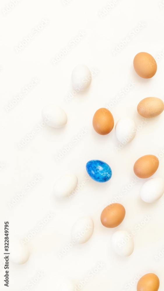 single blue easter egg in the middle of white and brown chicken eggs on white background with plenty of space, copy space, laboratory for health and control, biological, hygienic, being different