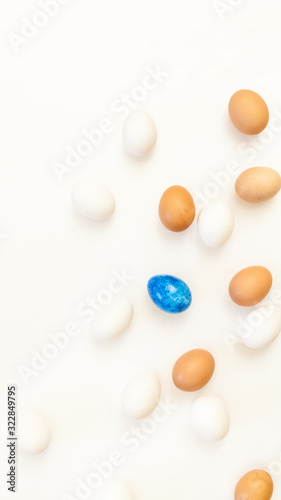 single blue easter egg in the middle of white and brown chicken eggs on white background with plenty of space, copy space, laboratory for health and control, biological, hygienic, being different