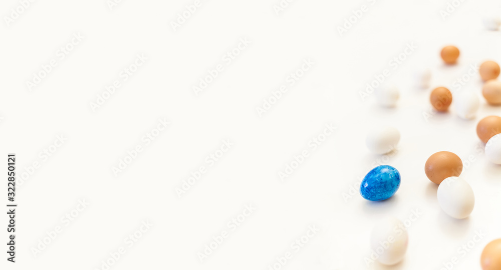 single blue easter egg in the middle of white and brown chicken eggs on white background with plenty of space, copy space, laboratory for health and control, biological, hygienic, being different single blue easter egg in the middle of white and brown chicken eggs on white background with plenty of space, copy space, laboratory for health and control, biological, hygienic, being different