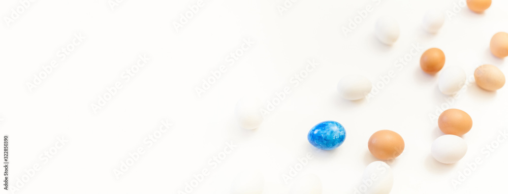 single blue easter egg in the middle of white and brown chicken eggs on white background with plenty of space, copy space, laboratory for health and control, biological, hygienic, being different. single blue easter egg in the middle of white and brown chicken eggs on white background with plenty of space, copy space, laboratory for health and control, biological, hygienic, being different.