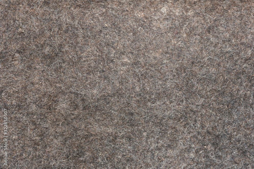 Fototapeta premium Surface texture of natural grey felt, background.