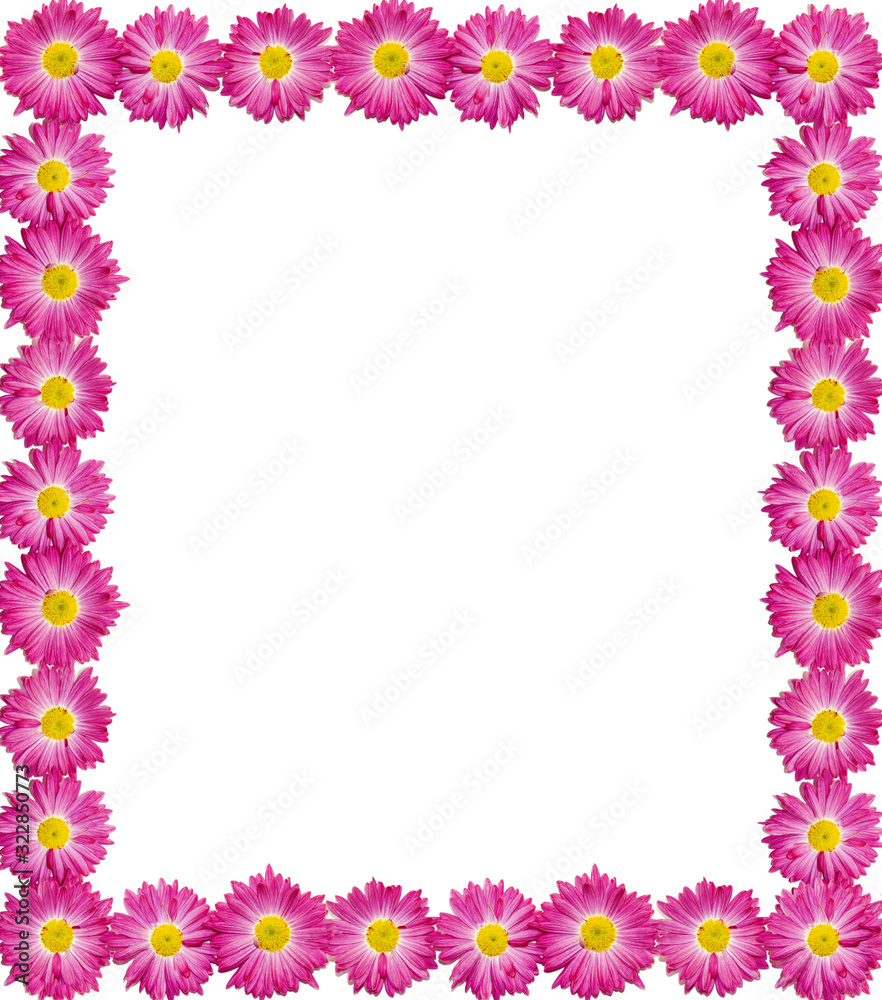 A pattern of pink gerbera flowers on a white background. Greeting card A pattern of pink gerbera flowers on a white background. Greeting card