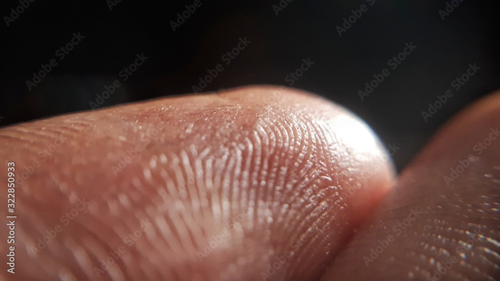 Macro fingerprint on black background. Macro fingerprint on black background.