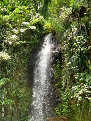 Tropical Waterfall