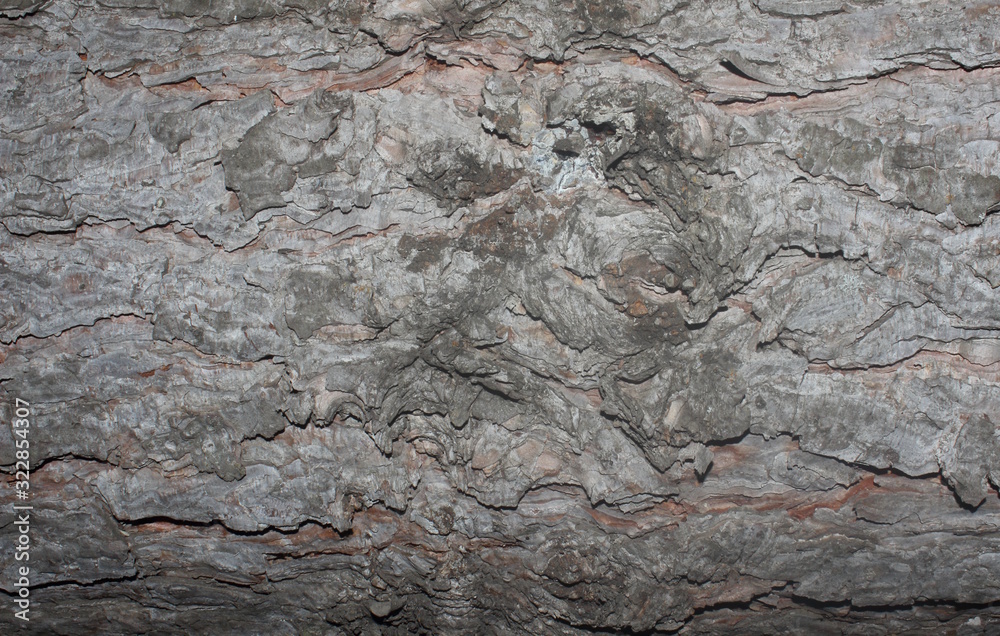 texture, stone, bark, tree, rock, pattern, wall, abstract, textured, wood, old, nature, rough, surface, brown, material, natural, grunge, concrete, backgrounds, granite, grey, detail, gray, closeup texture, stone, bark, tree, rock, pattern, wall, abstract, textured, wood, old, nature, rough, surface, brown, material, natural, grunge, concrete, backgrounds, granite, grey, detail, gray, closeup