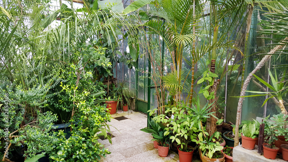 Green Plants Planted in  Botanical Garden