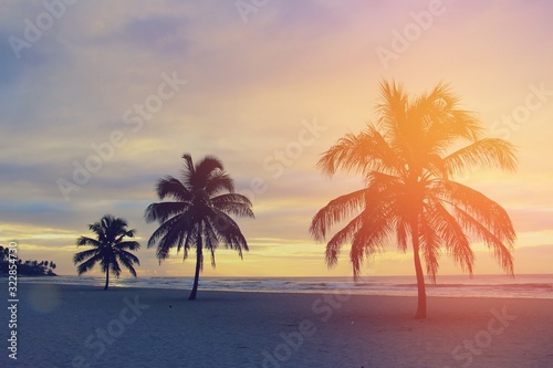 Colorful sunrise and huge palm trees on the beach in the Dominican Republic