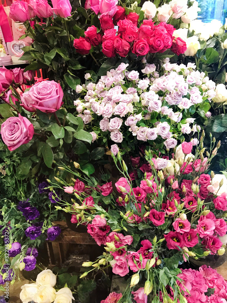Many Blooming Flowers in a Flower Shop Many Blooming Flowers in a Flower Shop