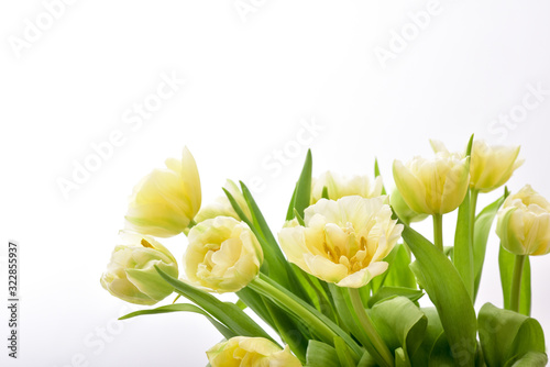 Fototapeta Naklejka Na Ścianę i Meble -  Spring Tulip Flowers. Tulips bunch.