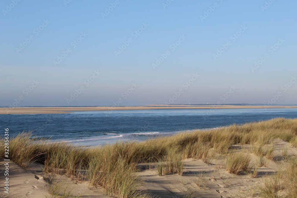 Dunes plage Bassin Arcachon