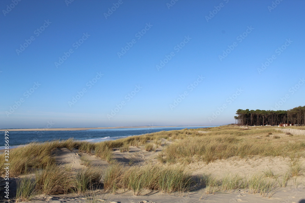 Dunes plage Bassin Arcachon Dunes plage Bassin Arcachon