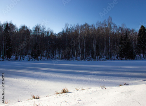 Tall forest trees on the banks of a frozen snow-covered river. Winter sunny landscape. Reflection of trees in the snow..