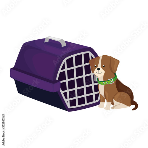 cute dog with carry box isolated icon