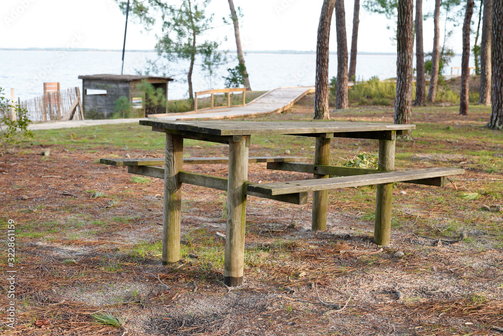 wooden table bench under tree with lake view on sand hill