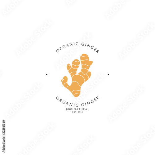 Ginger root. Logo template