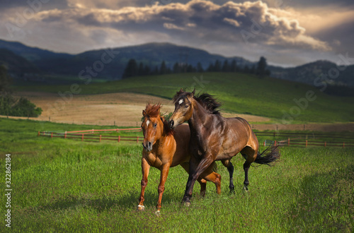Horses Running Storm © Black Dove Studio