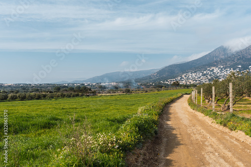 Fototapeta Naklejka Na Ścianę i Meble -  A rural road that crosses a quiet green field with an olive plantation and a mountain in the background