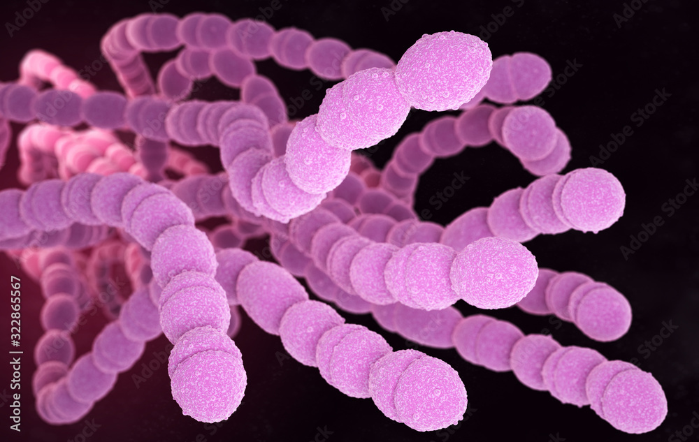 Streptococcus Pneumoniae Bacteria Stock Illustration Adobe Stock