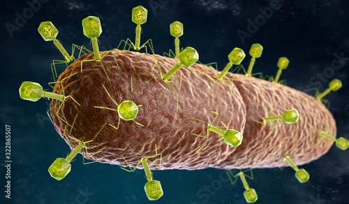 Obraz na plátně Multiple bacteriophage on a rod-shaped bacteria