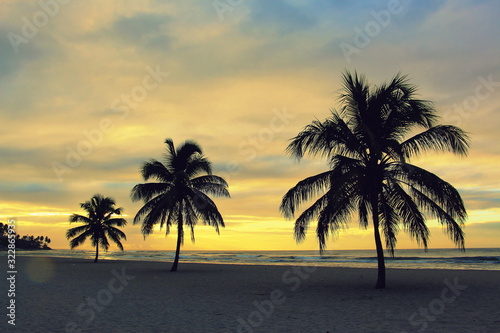 Colorful sunrise and huge palm trees on the beach in the Dominican Republic