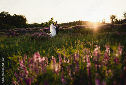 couple on wedding day,blooming field on the background of the bride and groom,Bride and groom hugging at sunset.Happy bride and groom smiling.Wedding day.Beautiful young couple in a field with flowers