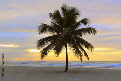 Colorful sunrise and huge palm trees on the beach in the Dominican Republic