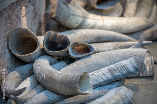 Tusks for sale in Old Town market in Feng Huang photo