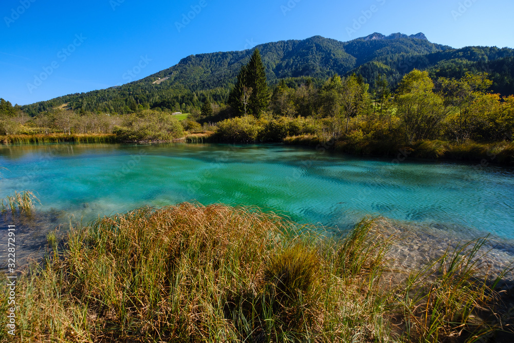 Zelenci - Sava Dolinka river source in green lake Zelenci - Sava Dolinka river source in green lake