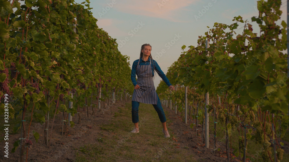 Slow motion beautiful farmer woman walk hold harvest basket with grapes on the vineyard lovely sunny autumn day agriculture farm industry vine field food fresh green grow hands worker close up Slow motion beautiful farmer woman walk hold harvest basket with grapes on the vineyard lovely sunny autumn day agriculture farm industry vine field food fresh green grow hands worker close up