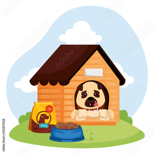 cute dog in wooden house and food