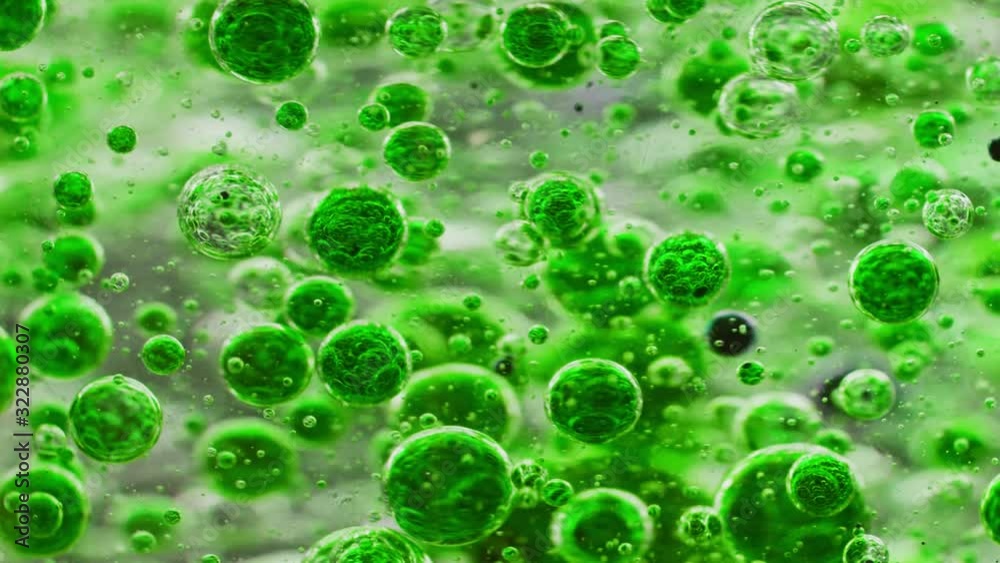 macro shot of green bubbles floating around in water macro shot of green bubbles floating around in water
