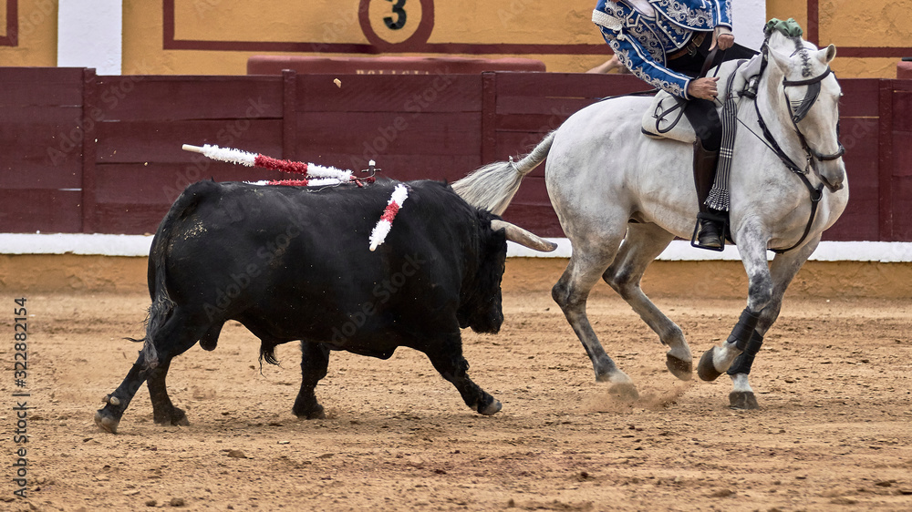 Tauromaquia a caballo en la plaza de toros durante la corrida de rejones. Tauromaquia a caballo en la plaza de toros durante la corrida de rejones.