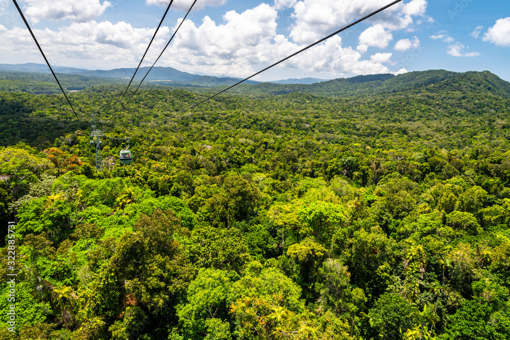 Top view of Australian rainforest from a cableway in north Queensland Top view of Australian rainforest from a cableway in north Queensland